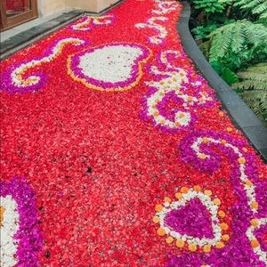 Meet your Posher, Nora